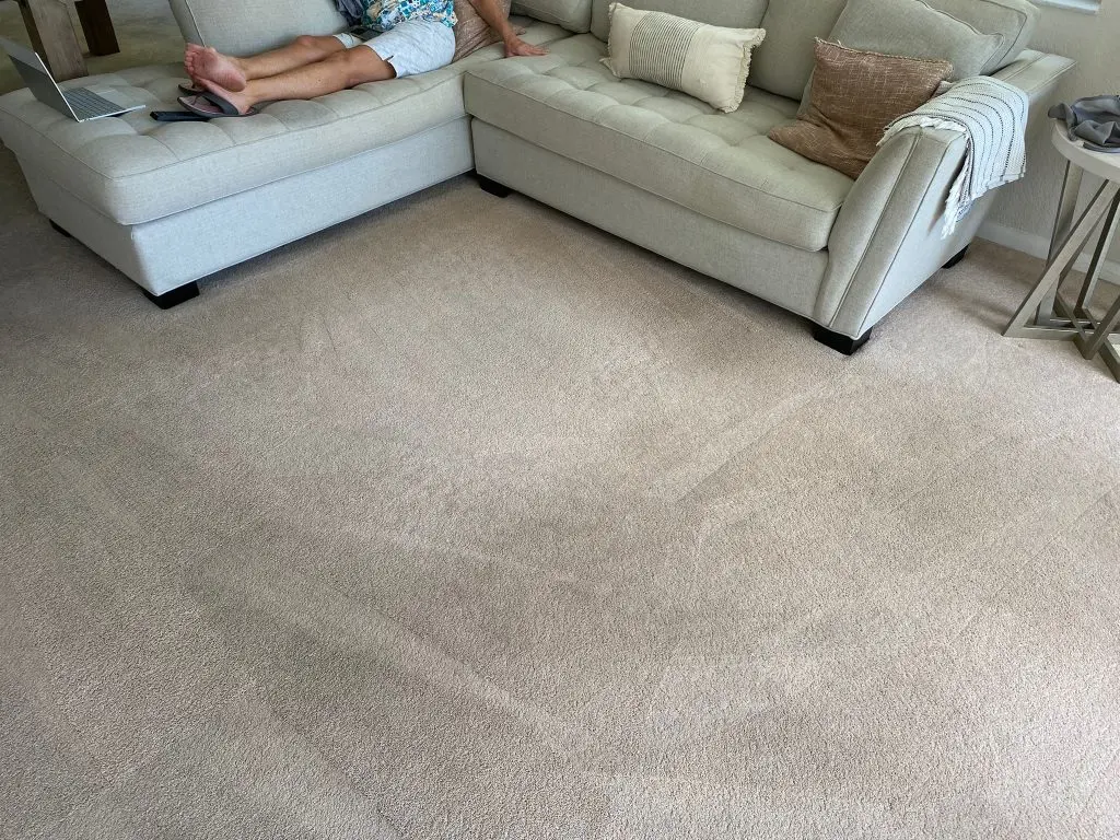 reputable Upholstery Cleaning